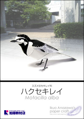 Paper Craft WHITE WAGTAIL