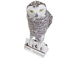 Paperccraft of Snowy owl female (animal)