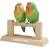 Paperccraft of Love bird