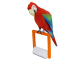 Paperccraft of Green-winged macaw