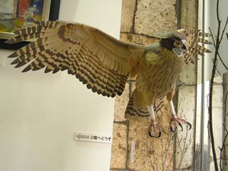Blakiston's eagle-owl