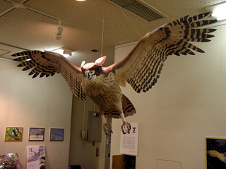 blakiston's eagle-owl